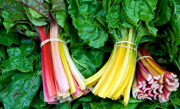 Rainbow Chard